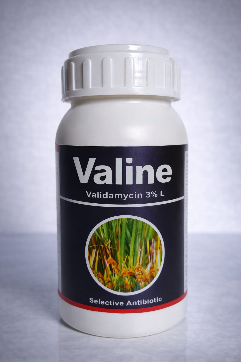 VALINE